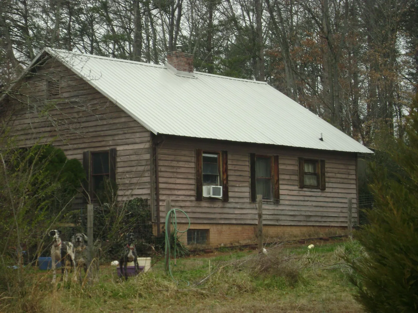 White metal roof on an old wood sided farmhouse, from a Asphalt Shingle Roof Repair job in Swan